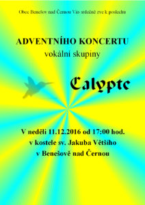 calypte-11-12-2016